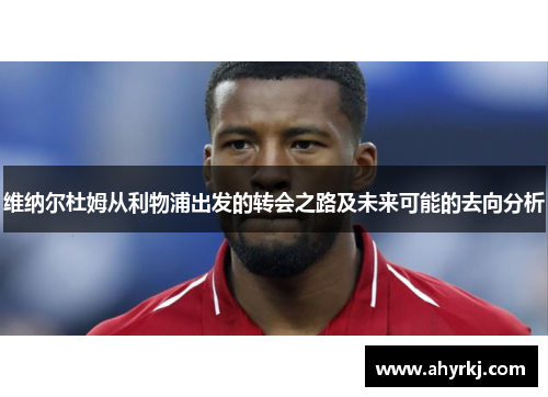 维纳尔杜姆从利物浦出发的转会之路及未来可能的去向分析